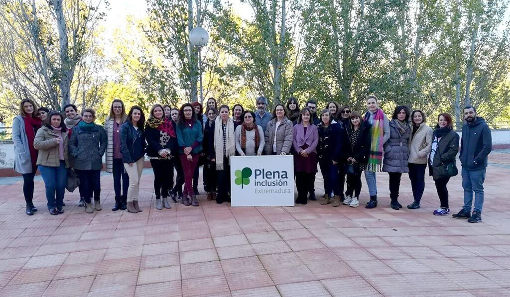 Formación en “Intervención Sistémica" en Discapacidad Intelectual